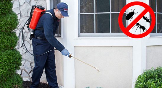 Kocaali Kemirgen İlaçlama böcek ilaçlama ve haşere kontrolü — ilaclama-tr.com